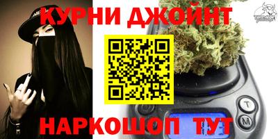 гидра Краснокаменск