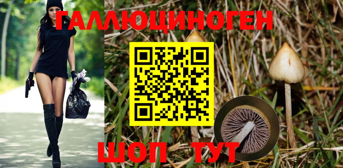 Гагарин  Галлюциногенные грибы Magic Shrooms  Вход с VPN 