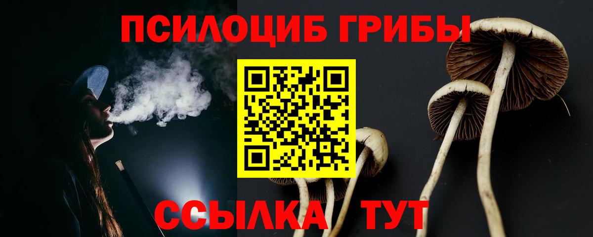 Псилоцибиновые грибы Psilocybine cubensis Гагарин
